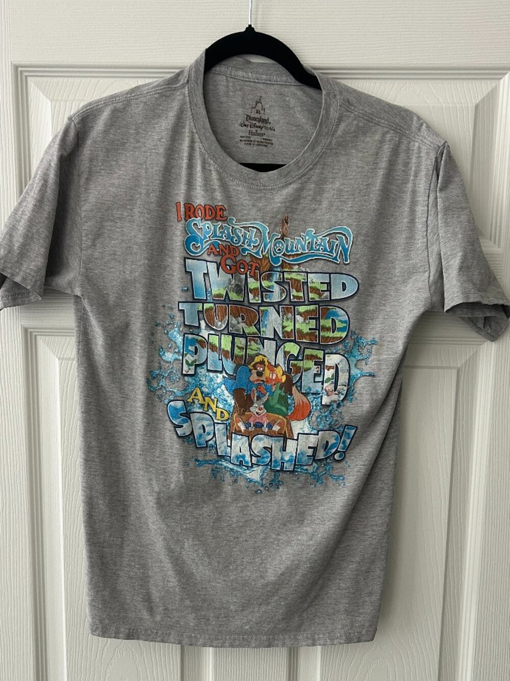 Disney Splash Mountain T Shirt XL Brer Rabbit Fox Bear Hanes Gray Parks Y2K